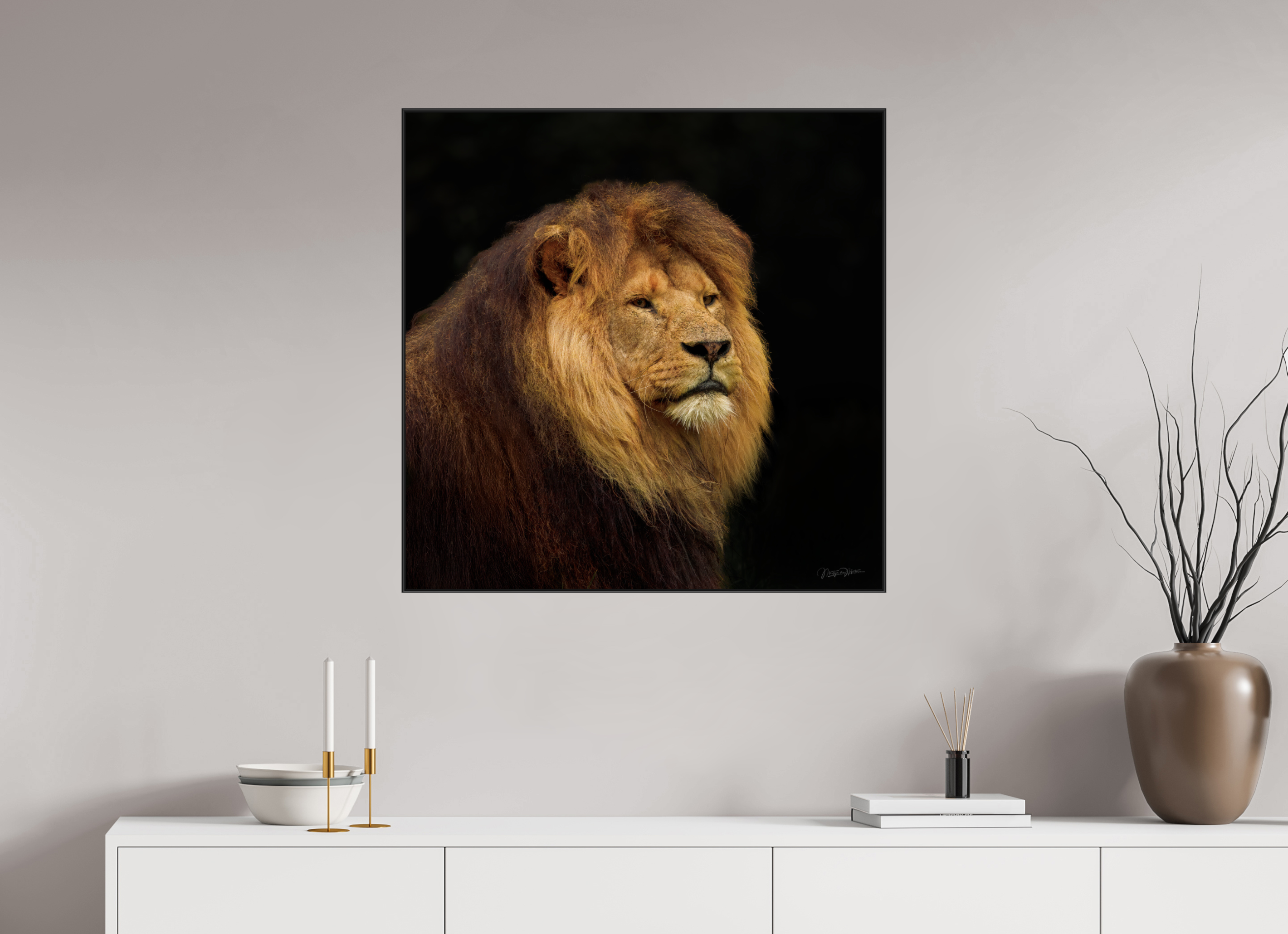 80 x 80 cm, acrylglas glanzend, 2 mm, aluminium ArtBox Frame, 50 mm profiel, zwart Solitude of a King
