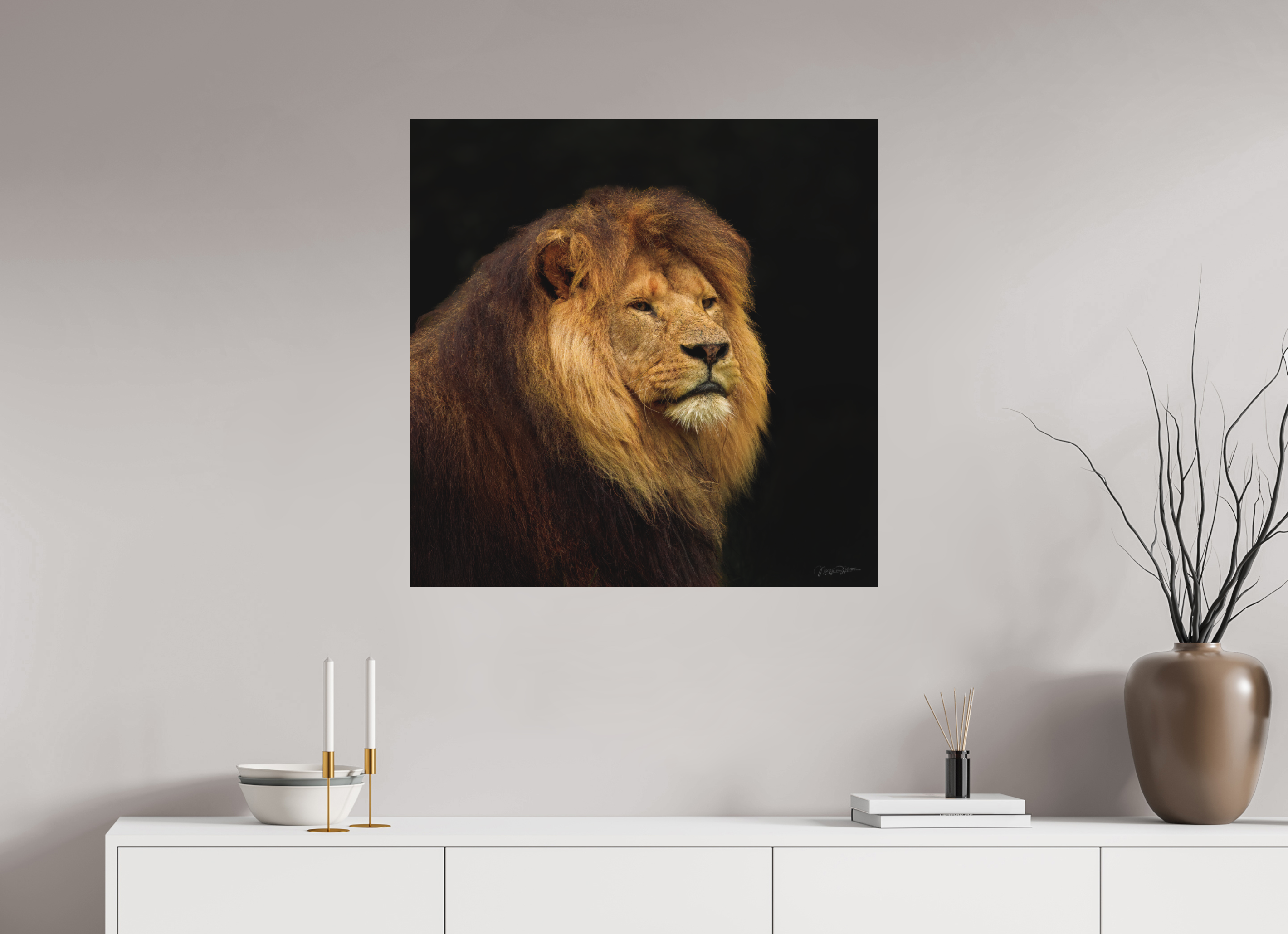 80 x 80 cm, acrylglas mat, 2mm, zonder lijst Solitude of a King