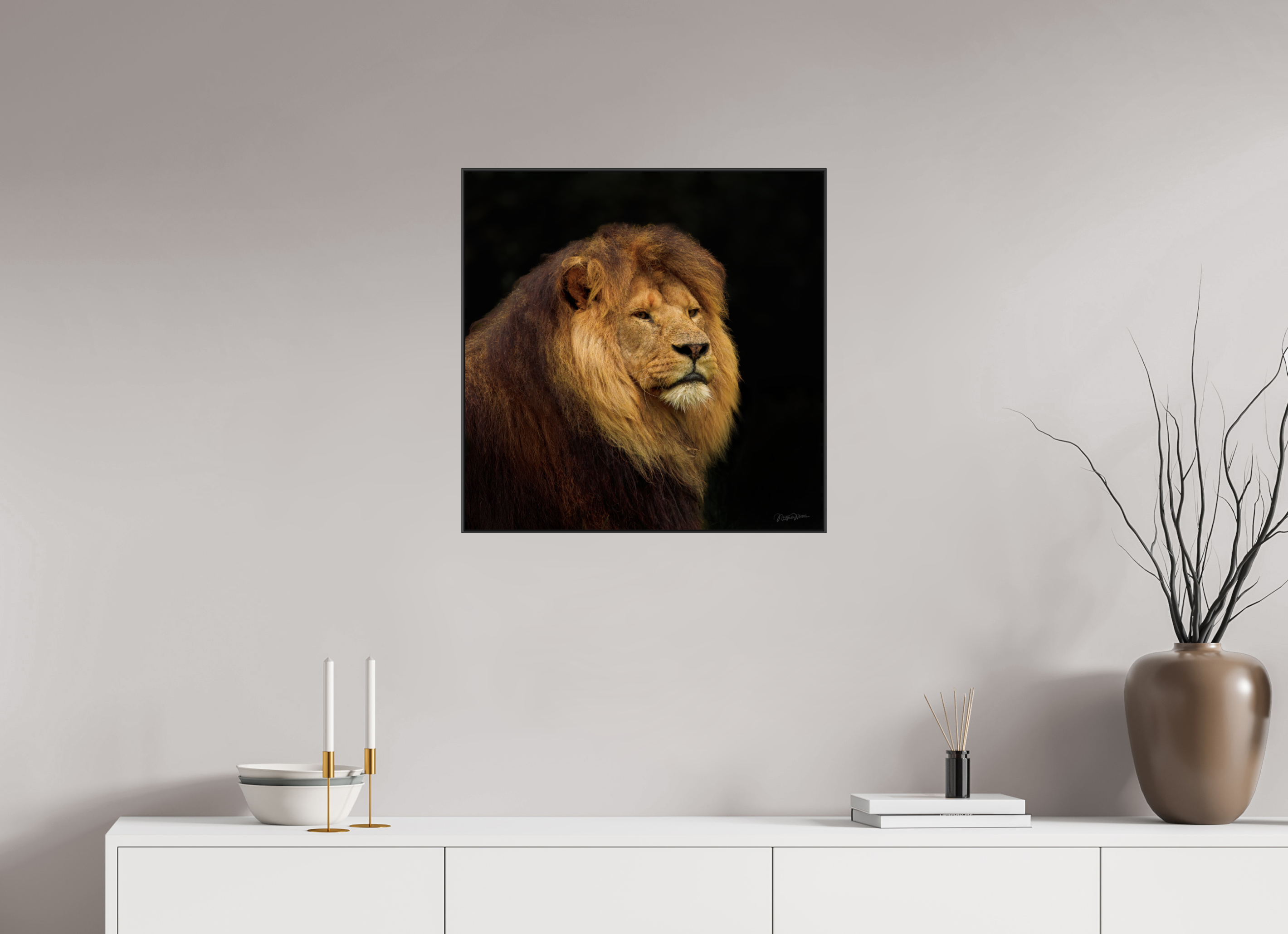 60 x 60 cm, acrylglas glanzend, 2 mm, aluminium ArtBox Frame, 50 mm profiel, zwart Solitude of a King