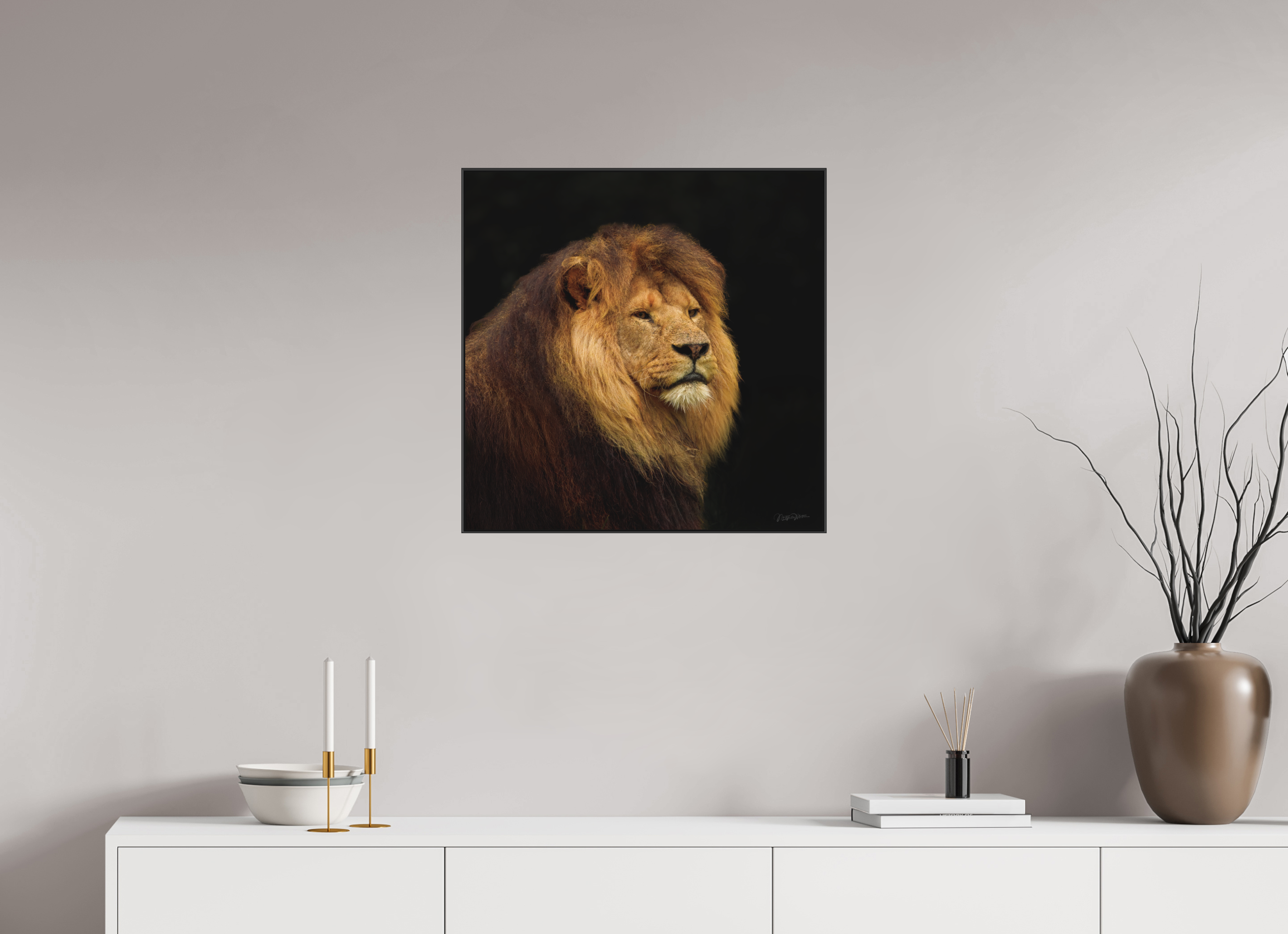 60 x 60 cm, acrylglas mat, 2 mm, aluminium ArtBox Frame, 50 mm profiel, zwart Solitude of a King