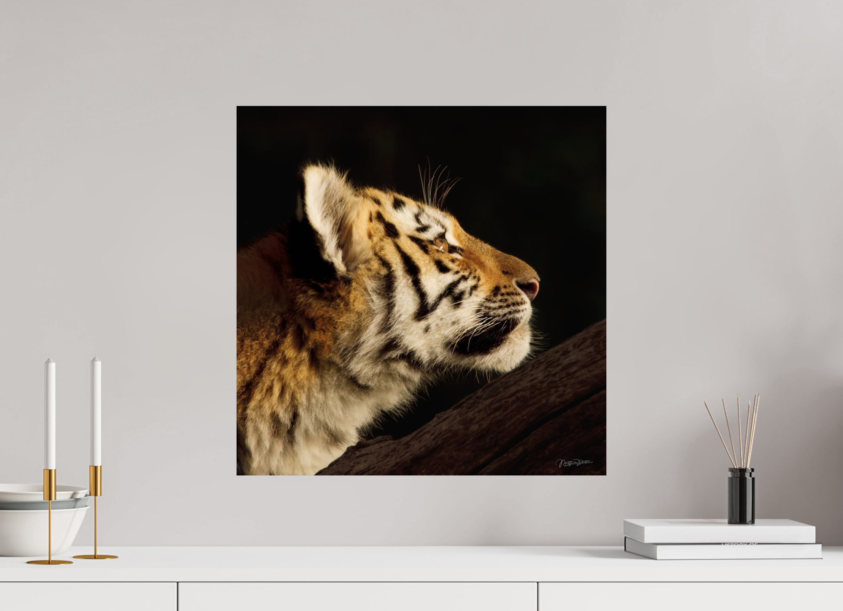 50 x 50 cm, Fotoafdruk op Fuji Crystal DP II papier, glanzend Gaze of the Untamed