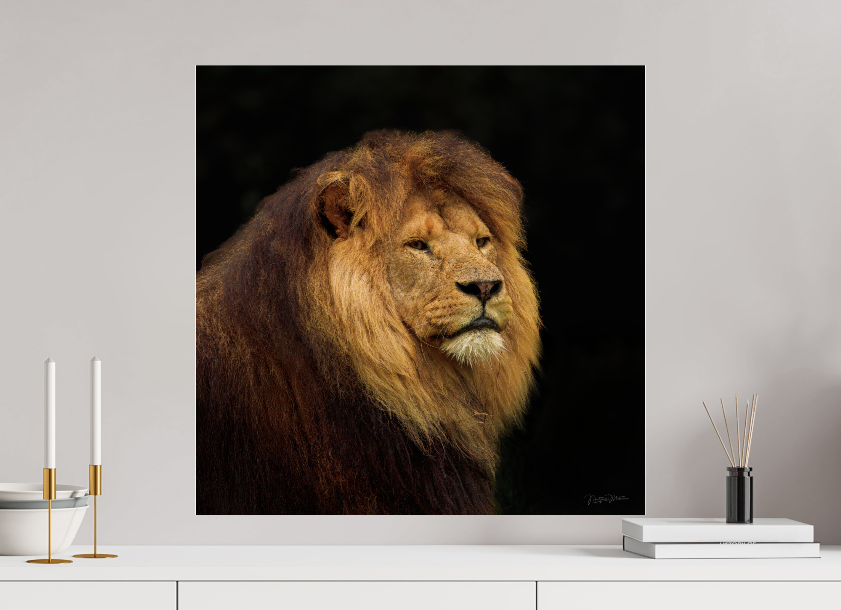 60 x 60 cm, 02a-ag2x - acrylglas glanzend, 2mm, zonder lijst Solitude of a King