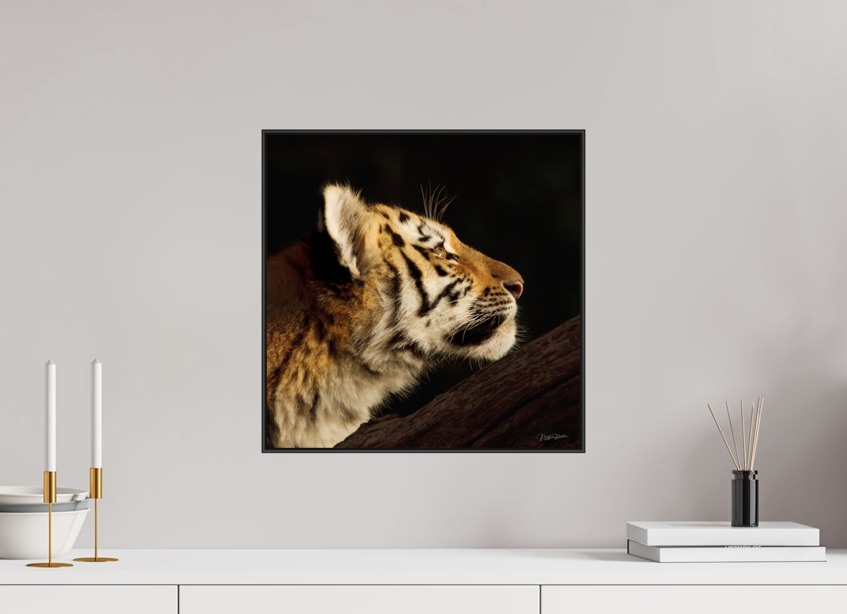40 x 40 cm, acrylglas, 2 mm, glanzend met aluminium ArtBox Frame, 50 mm profiel, zwart Gaze of the Untamed