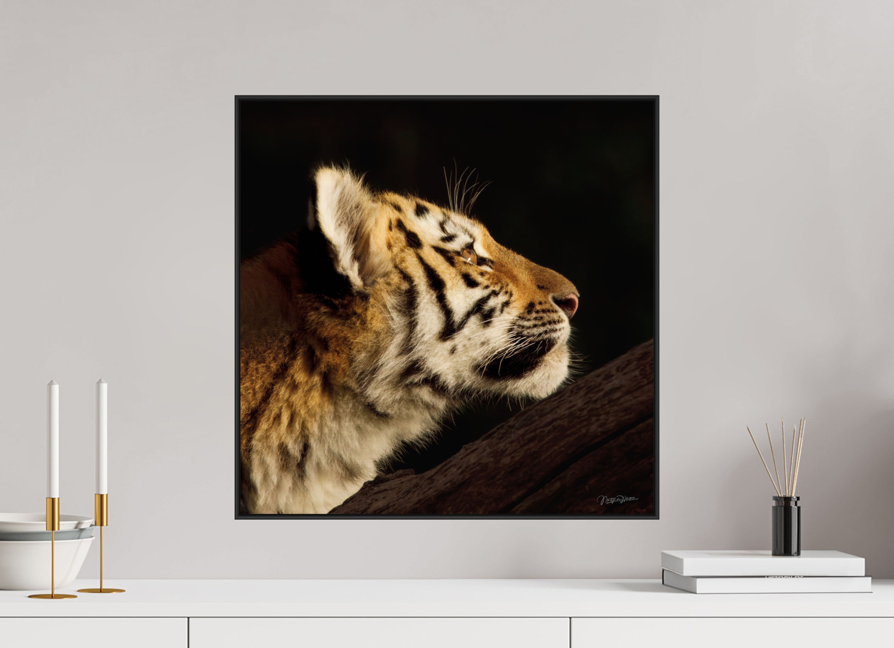 50 x 50 cm, acrylglas, 2 mm, glanzend met aluminium ArtBox Frame, 50 mm profiel, zwart Gaze of the Untamed