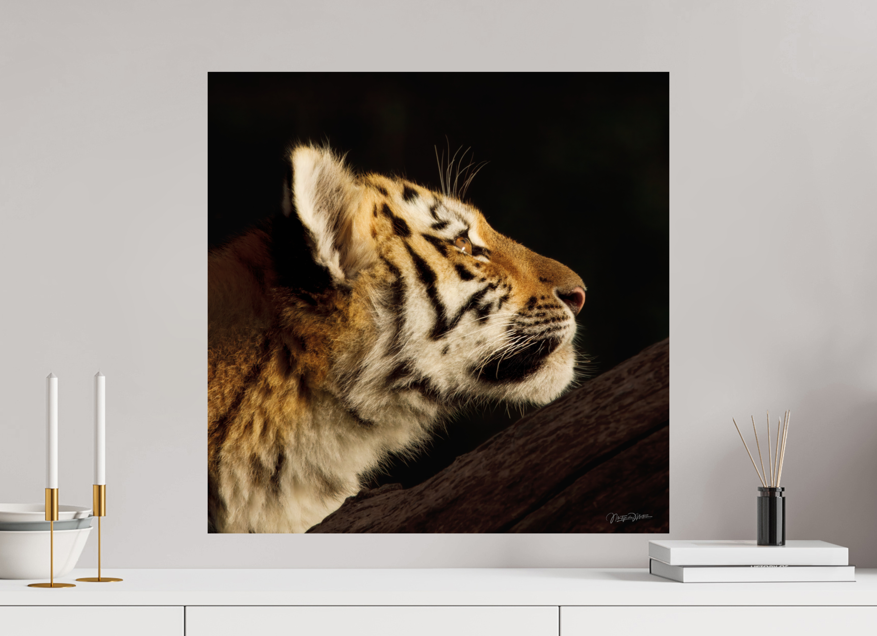 60 x 60 cm, Fotoafdruk op Fuji Crystal DP II papier, glanzend Gaze of the Untamed
