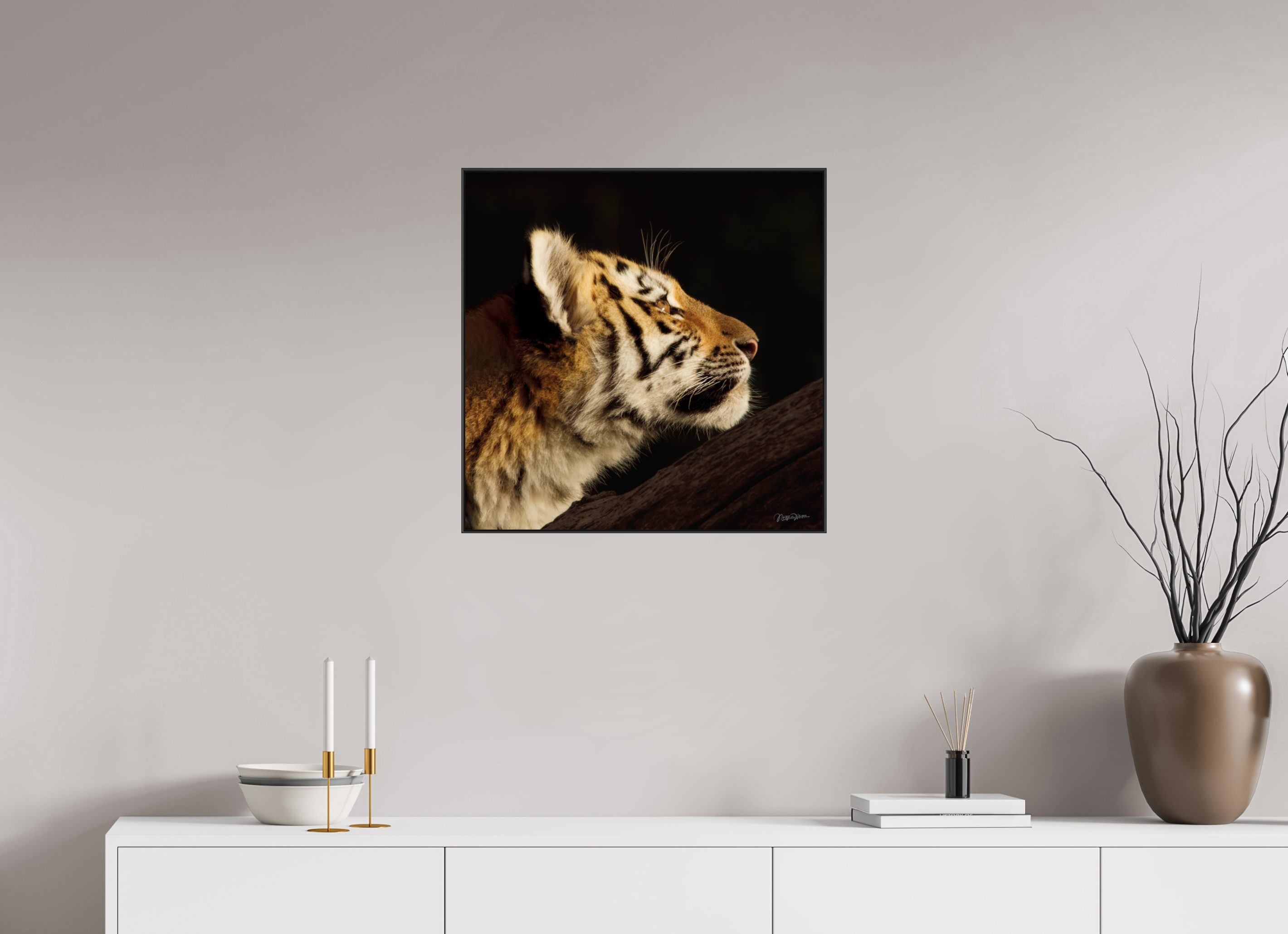 60 x 60 cm, acrylglas, 2 mm, glanzend met aluminium ArtBox Frame, 50 mm profiel, zwart Gaze of the Untamed