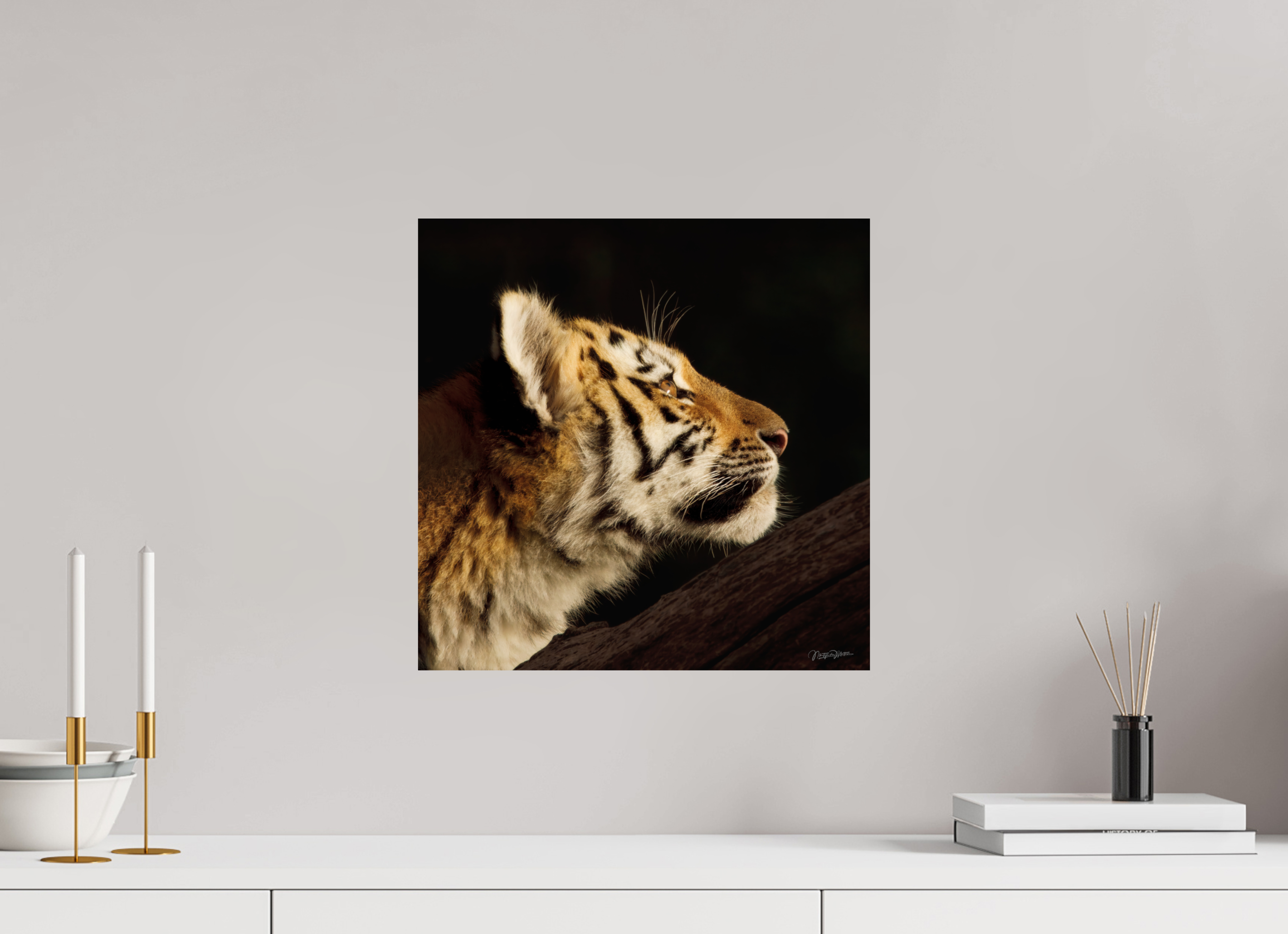 40 x 40 cm, Fotoafdruk op Fuji Crystal DP II papier, glanzend Gaze of the Untamed