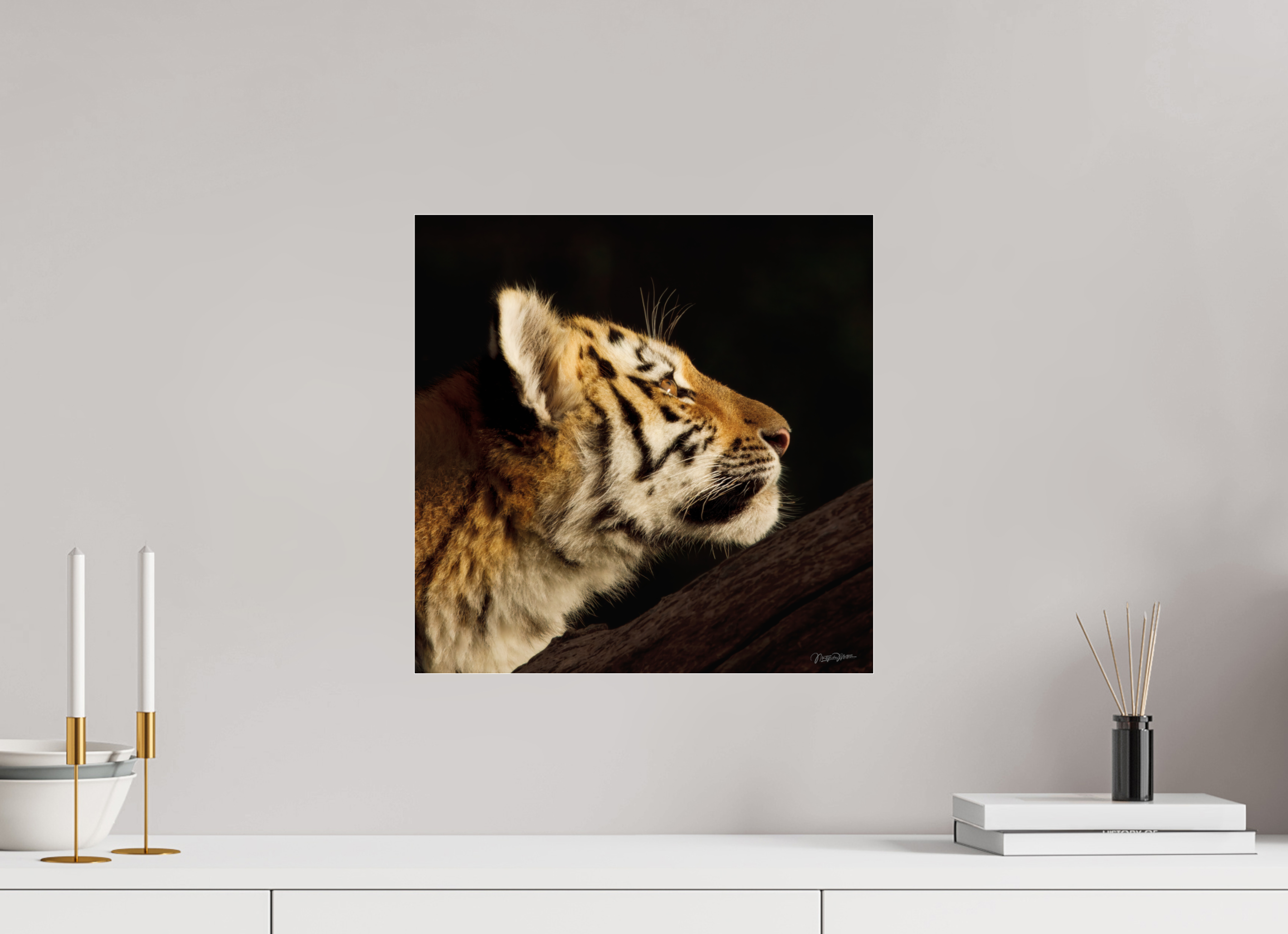 40 x 40 cm, acrylglas, 2mm, zonder lijst Gaze of the Untamed
