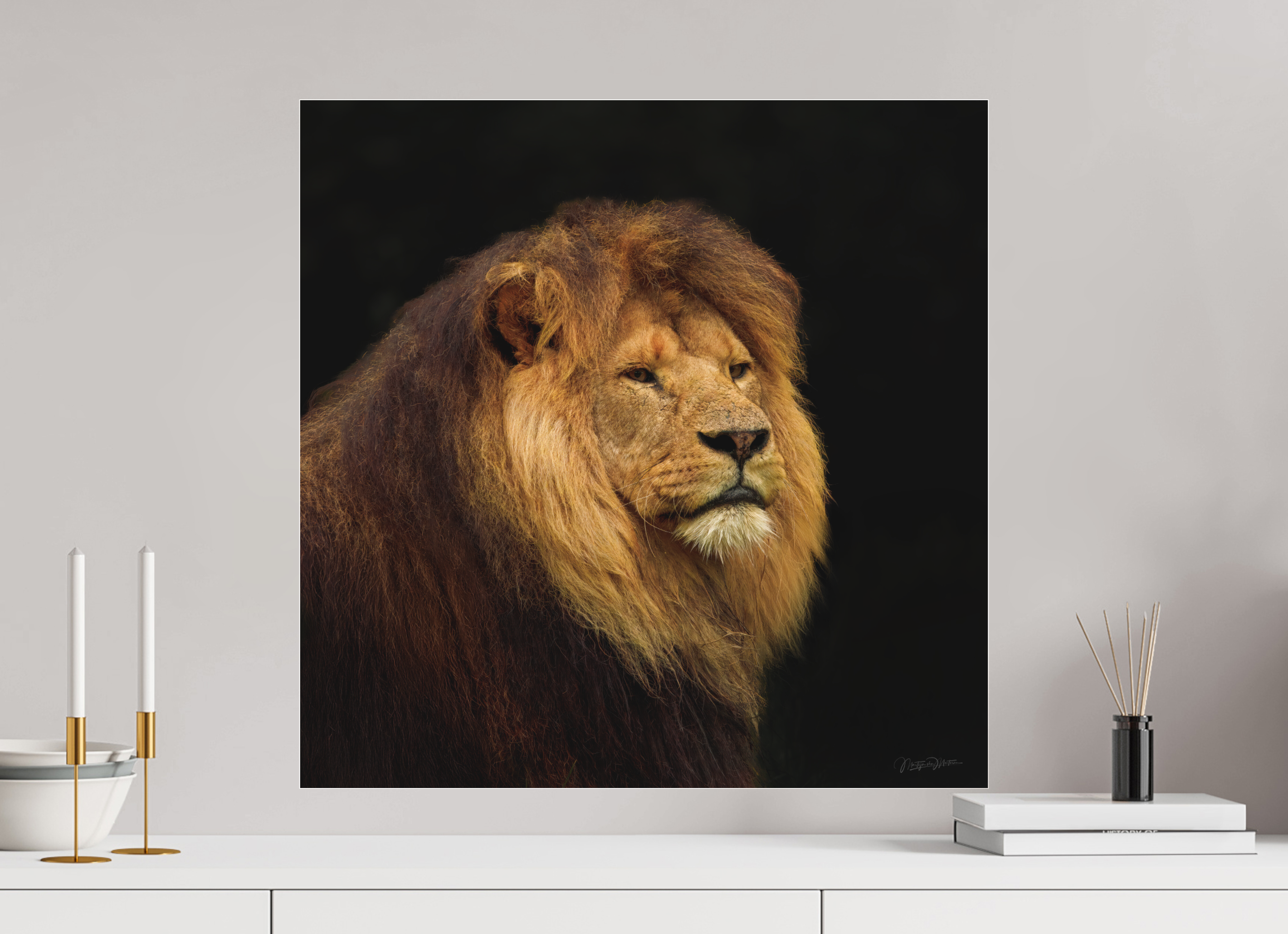 60 x 60 cm, acrylglas mat, 2mm, zonder lijst Solitude of a King