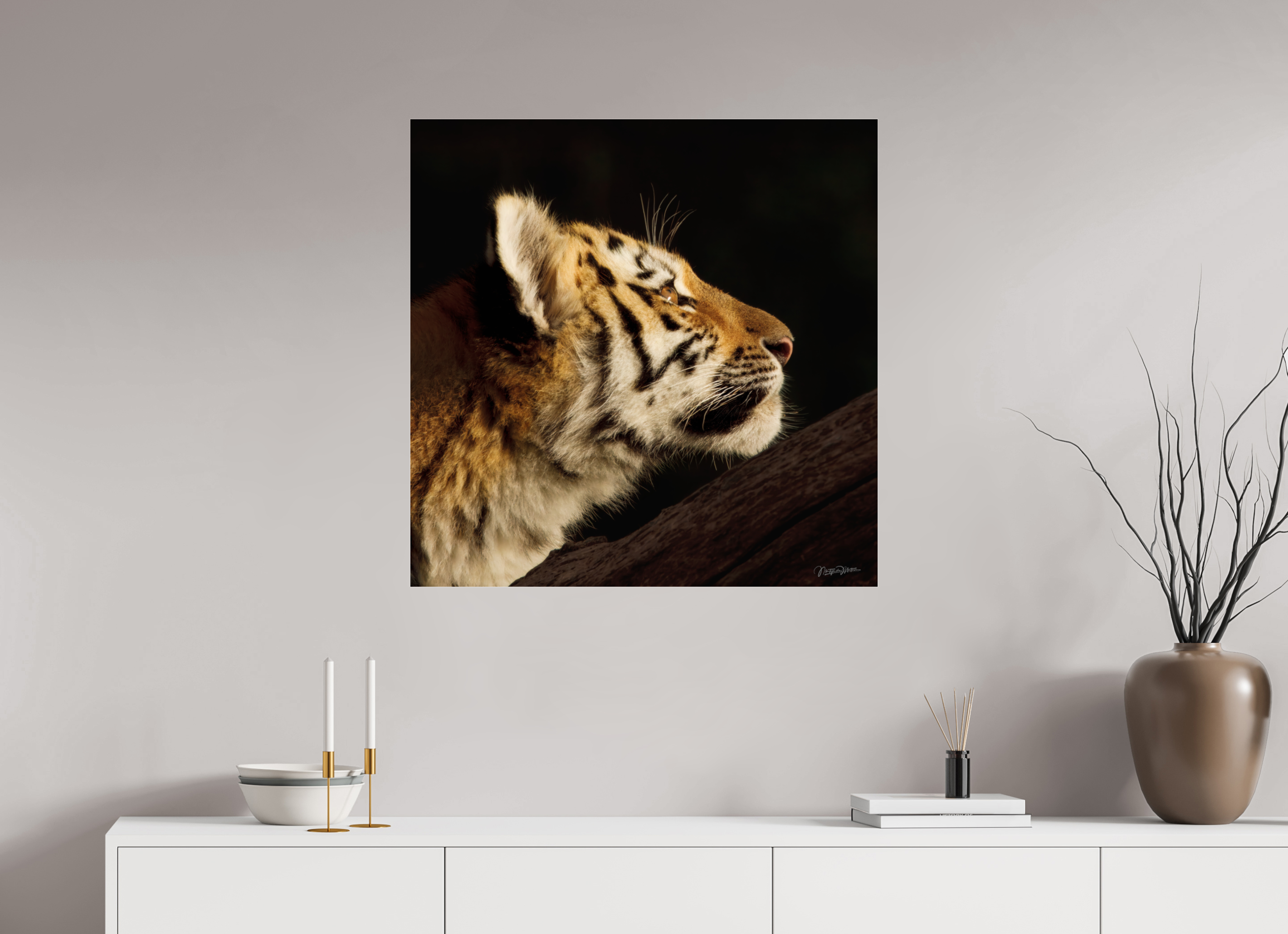 80 x 80 cm, acrylglas, 2mm, zonder lijst Gaze of the Untamed