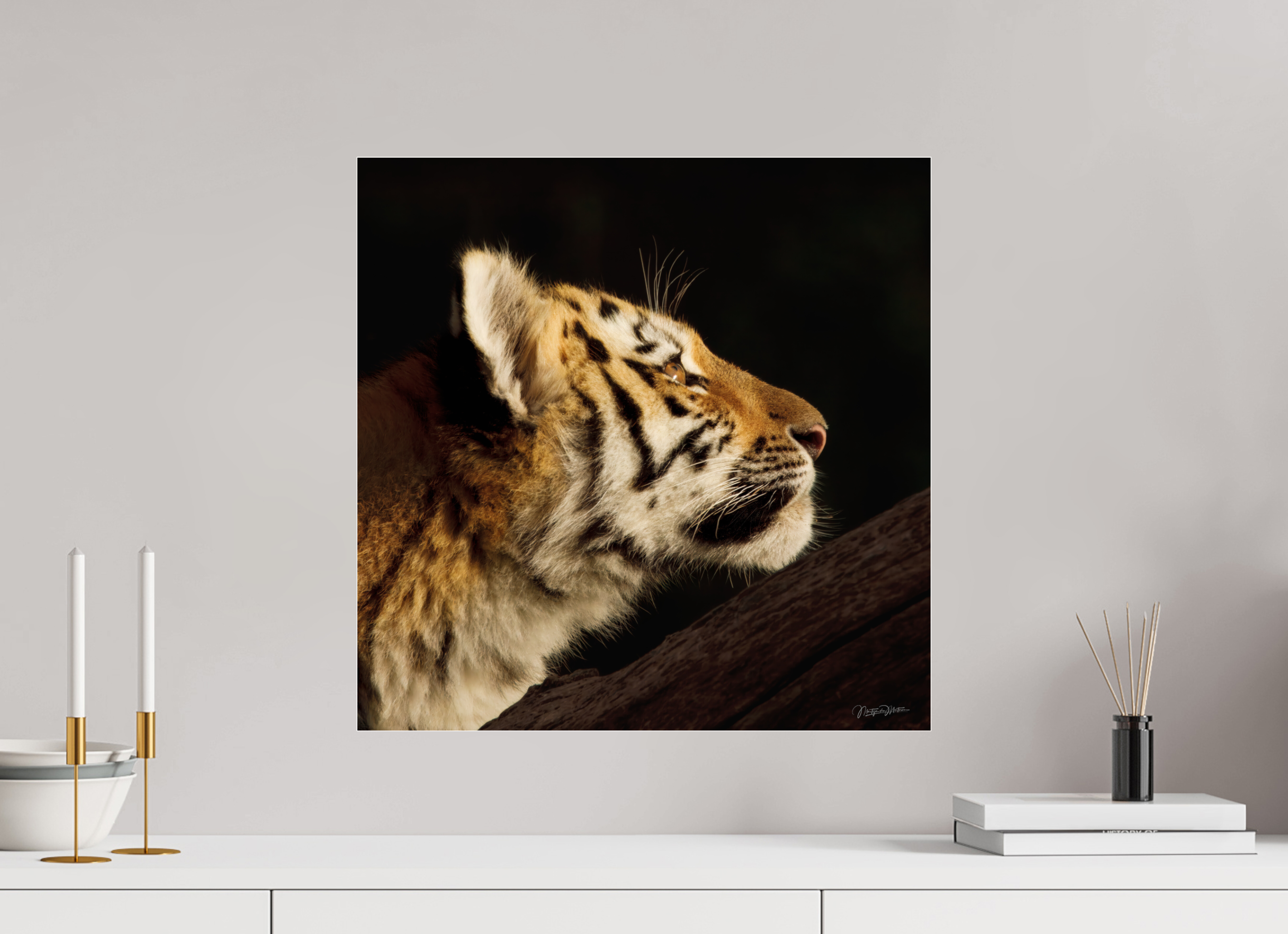 50 x 50 cm, acrylglas, 2mm, zonder lijst Gaze of the Untamed
